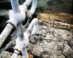 Eraldaketa – Instagram