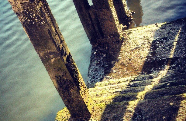 Esqueleto – Instagram