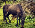 Belar heze eta goxo #sopuerta – Instagram
