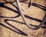 – Instagram