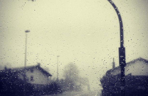 Murgiako bidean murgiltzen #lainoa #niebla #bitono – Instagram