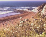Udan murgildurik – Instagram