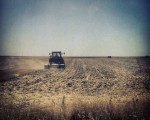 Campos de Castilla #tierras #trigo #cebada #verano #sol #sun – Instagram