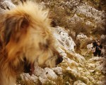 Lagunen zain #Neu #txakur #haitzak #lapiaces #Belatxikieta #Artaun #Dima #12hilabete12mendi #mendizaleak #mountain – Instagram