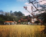 Humedal camino a la playa #Pobeña #Muskiz #Bizkaia #humedal #agua #ria #cielo #primavera #playa – Instagram