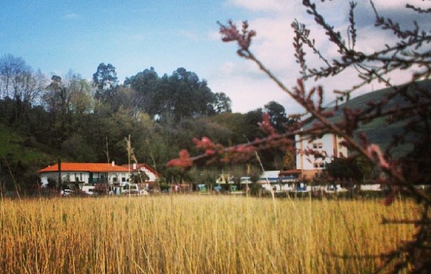 Humedal camino a la playa #Pobeña #Muskiz #Bizkaia #humedal #agua #ria #cielo #primavera #playa – Instagram