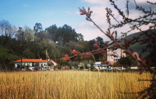 Humedal camino a la playa #Pobeña #Muskiz #Bizkaia #humedal #agua #ria #cielo #primavera #playa – Instagram