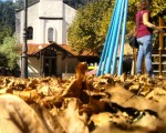 #Otoño en #ElRegato #udazkena #hojas #hostoak #hojasdecas #ocres – Instagram