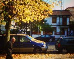 #Caminando hacia el #invierno. #vejez #paseo #andar #otoño #hojassecas #hojarasca #ocres #amarillos #hojascaidas #árbol #casaunifamiliar #avenida #Miranda #SanEloy #Barakaldo #calle #coches #terceraedad #agurea #bideaeginez #udazkena #negua #horia #hostoak #hostoeroriak #horiak #zuhaitza #oinez – Instagram