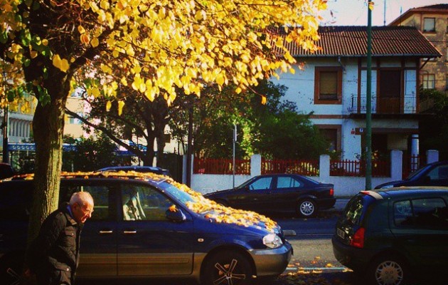 #Caminando hacia el #invierno. #vejez #paseo #andar #otoño #hojassecas #hojarasca #ocres #amarillos #hojascaidas #árbol #casaunifamiliar #avenida #Miranda #SanEloy #Barakaldo #calle #coches #terceraedad #agurea #bideaeginez #udazkena #negua #horia #hostoak #hostoeroriak #horiak #zuhaitza #oinez – Instagram