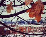 Hostoek neguari aurrera egiten #elurra #negua #teilatuak #tejados #haritza #roble #hojas #nieve #hostoak #ramas #invierno #edificios #eraikuntzak #ventanas #leihoak #Barakaldonevado #Barakaldoelurtuta #Barakaldo  #elurramaramara – Instagram