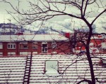 Negua zurigorriz #elurra #negua #teilatuak #tejados #zuhaitza #árbol  #nieve #ramas #invierno #edificios #eraikuntzak #ventanas #leihoak #blancoyrojo #Barakaldonevado #Barakaldoelurtuta #Barakaldo  #elurramaramara – Instagram