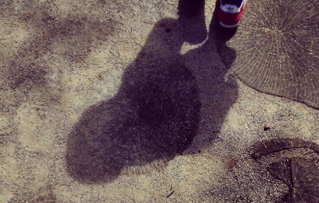 Las edades de los #árboles nos descubrirán el #camino #huella #edad #anillos #sombra #pasos #rojo – Instagram