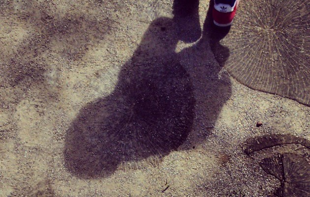 Las edades de los #árboles nos descubrirán el #camino #huella #edad #anillos #sombra #pasos #rojo – Instagram