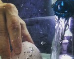 Alimentando nuestro #huevodedinosaurio #agua #huevo #dinosaurio #mano #botella – Instagram