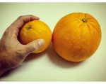 #Naranja tamaño #Valencia!!!#XXL #peroestoquees #impresionante #alucinante – Instagram