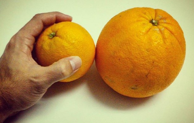#Naranja tamaño #Valencia!!!#XXL #peroestoquees #impresionante #alucinante – Instagram