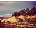#Cuzcurrita #viñedos #LaRioja #Sol #tierras – Instagram