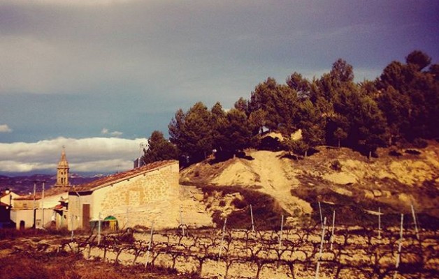 #Cuzcurrita #viñedos #LaRioja #Sol #tierras – Instagram