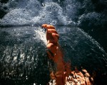 Luchando por llegar entre mares de #desigualdad y #porvenir de #salitre#agua #mar #lucha #futuroincierto #migracion #otromundoesposible #refugio – Instagram
