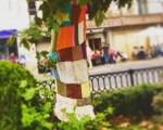 Los #árboles de #Karrantza se preparan para el duro #invierno#Neguabertanda #winteriscoming#kinitting #yardbombing #arteurbano #urbanarts #lana #vestir @igerseuskadi – Instagram