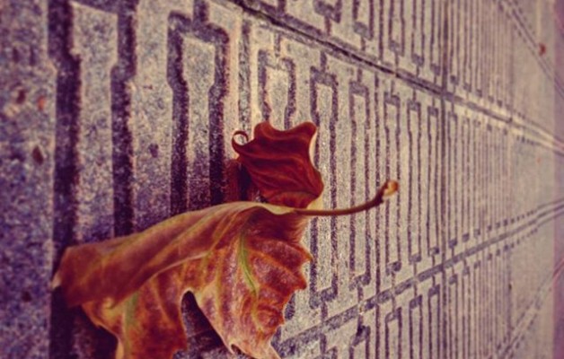 #Udazkena dantzan#hostoa #hoja #ocres #otoño #baldosa #Barakaldo #perspectiva #plasticidad@igerseuskadi – Instagram