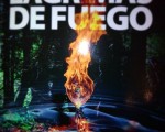 …en la zona más inhóspita y olvidada de la cordillera andina, allí donde la misma comienza a fundirse con los hielos eternos, un grito lastimero gime a través de las rocas…#LágrimasdeFuego #AritzaBergara #TerritorioMapuche #LosAndes #DurangokoAzoko #DA! #novelanegra #nobelabeltza #eleberribeltza #elplacerdeviajaratravesdeloslibros – Instagram