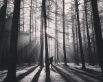#Argiizpiak #Saldropo n #Zeanuri #Dima #Ubidea #Gorbeialdea #Bizkaiamaite@igerseuskadi @instagram @basurdeeditions #itzalak #argijokoak #basoa #bosque #misterio#lucesysombras #zuribeltza #blancoynegro #blacknwhite – Instagram