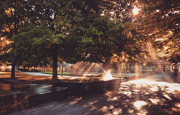 Esto es lo que pasa cuando te cruzas con los #jardineros #regando y el #sol de frente#contrantes #lucesysombras #agua #Barakaldo #ElCarmen @igerseuskadi @igersbilbao @instagram – Instagram