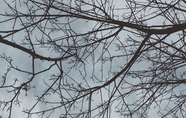 #zerua #texturas #cielo #sky #ramas #deustu @igersbilbao @igerseuskadi @instagram – Instagram