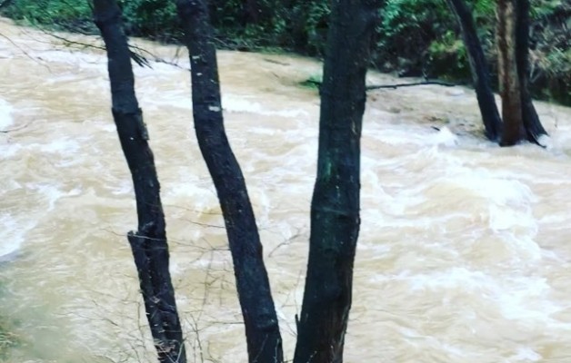 #Bengolea #truchas no sé, pero #agua trae de sobra! @igerseuskadi #barakaldo #errekatxo Ay Bengolea, es el riachuelo de las truchas frescas – Instagram