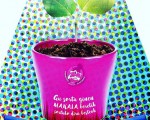 #kimua #makala #gusortuginenenborberetiksortukodirabesteak #etorkizuna #gazteak #barakaldo #sanbizentekojaiak #danborrada @makala2gaztetxea @SanbiJaietan @makauenkonpartsa @berriotxoak @igerseuskadi @igerrak – Instagram