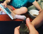 Atzo lagun berria izan genuen. Etxera sartu zitzaigun despistauta! Eskerrak soltau eta bere kabuz ekin zion bizitzari #txoria #libre #hegan @barakaigers @igerrak – Instagram