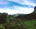 La mejor playa del mundo: monte, mar, sol, castillos de arena, pulpo… y dunas! Qué más se puede pedir? Diversión asegurada! – Instagram