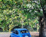 #seiscientos #azul #600 #cochesantiguos #vintage #arbol #sombra @igerseuskadi @instagrames @igersbilbao @igersbizkaia – Instagram